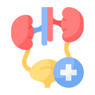 Urology icon