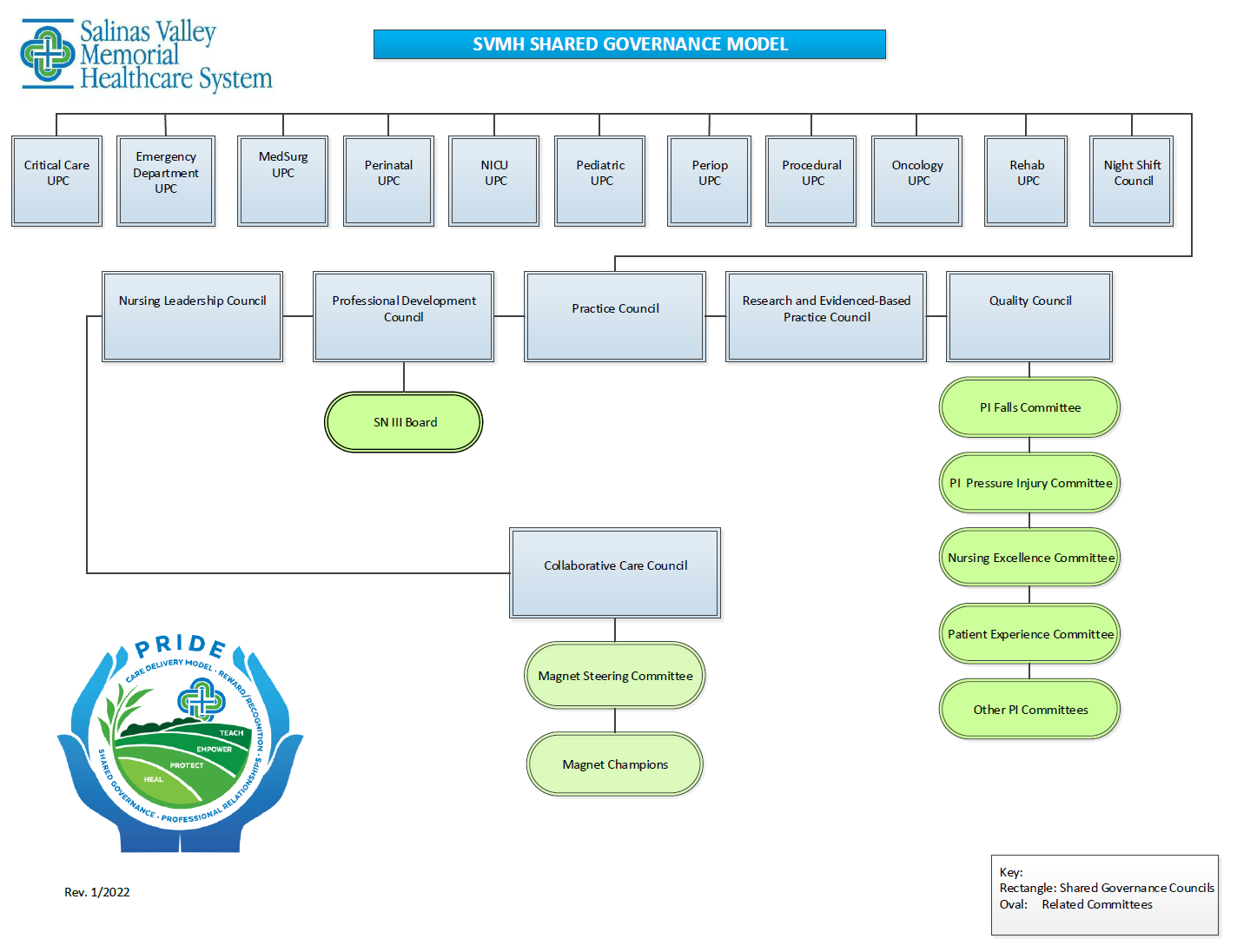 SVH Shared Governance Model